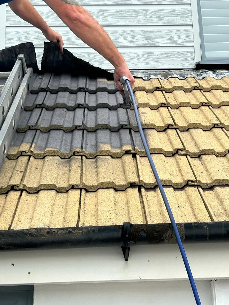 Roof Coating